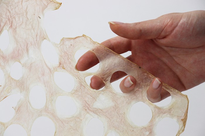 Jessica Gregory & Cristina Carbajo2