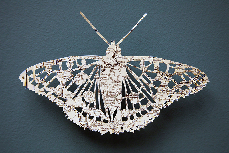 ClaireBrewster_ApocalypseofButterflies 9 web