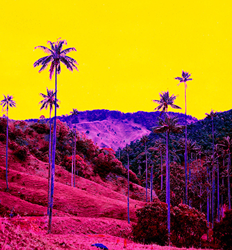 Environmental Art STANISLAV_SHMELEV_2017_MAGICAL_REALISM5 web