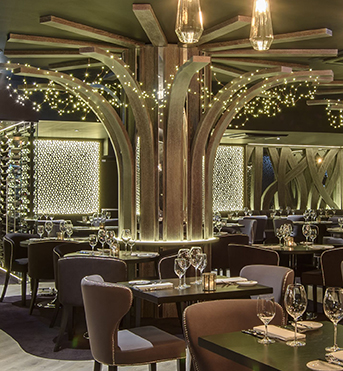 _MRC1419-HDR-Edit _tct web]