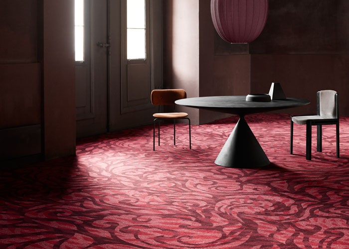 Cultures_ege-Lucky-Clouds-Chrysanthemum_001