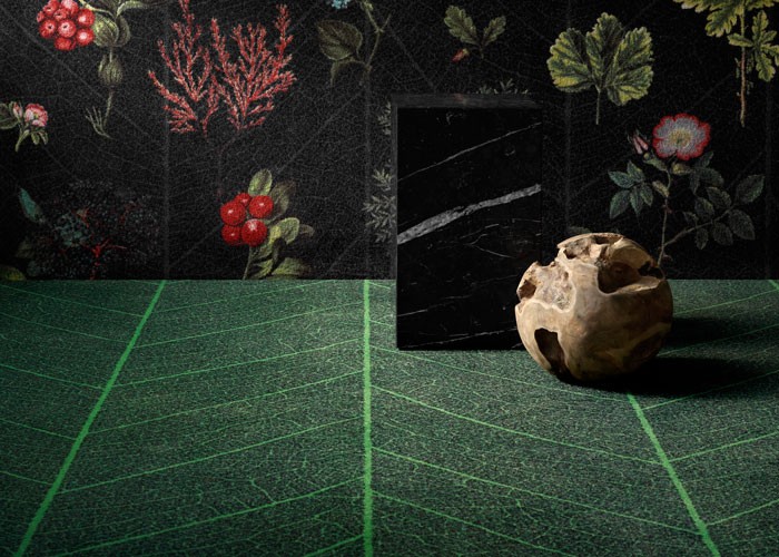 Nature_RF52202912-Leaf-Skeleton_ege--Botanic-Garden_002