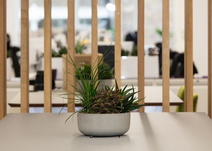 Web-3Timber-screen-semi-open-not-to-impede-flow-of-space