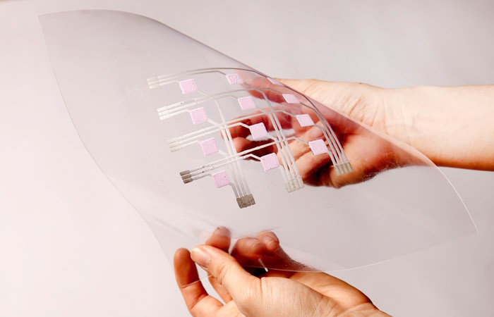 Design-Insider-Paint-Carolyn-Tam