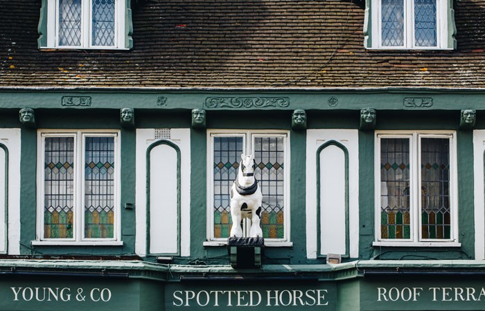 Style-Library-Contract-spottedhorse-2-web-4