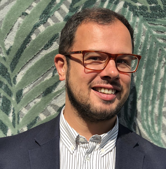 geo palm design insider stark carpet daniel whitlock