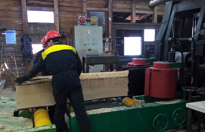 Arqadia-Tree-coming-out-cut-into-planks-copy