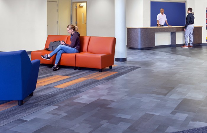 Design Insider Sleep Shaw