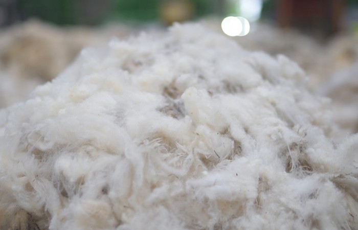 Design Insider Camira Fabrics British Wool