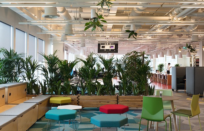 Design Insider Align worked with Plant Plan on the scheme's extensive planting strategy