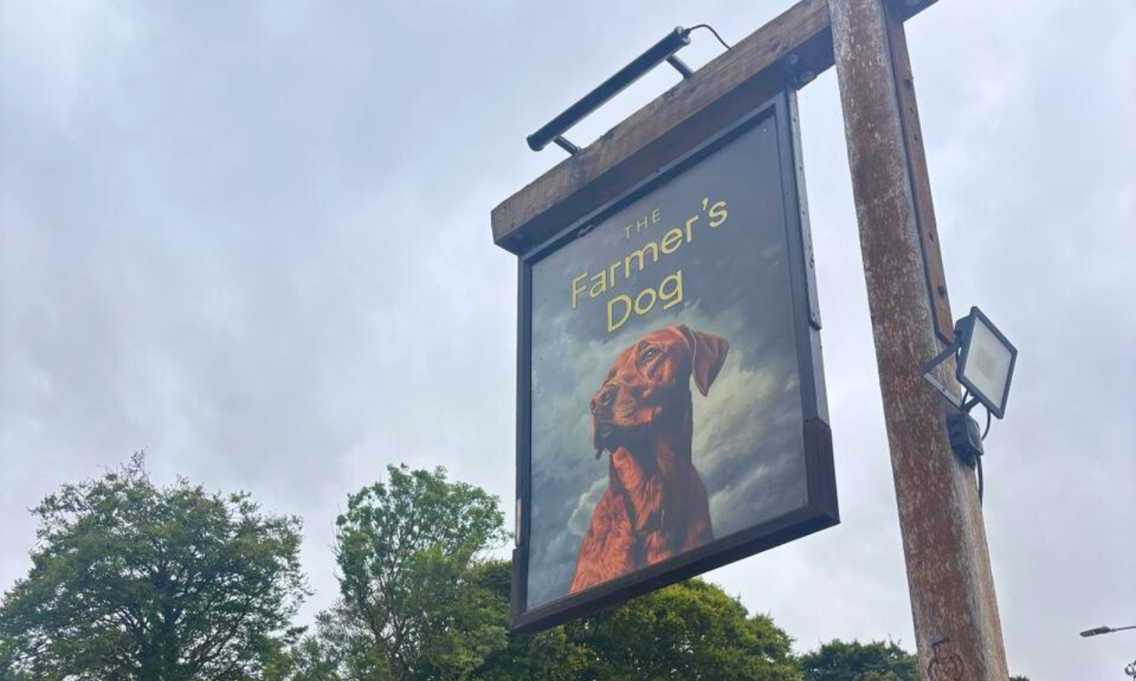 The Farmer's Dog, Cotswolds