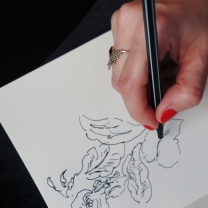 Sketch Series Ella Richards for Linwood