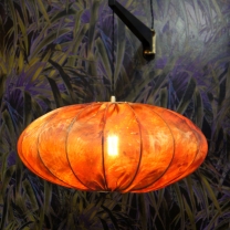 Curiousa and Curiousa